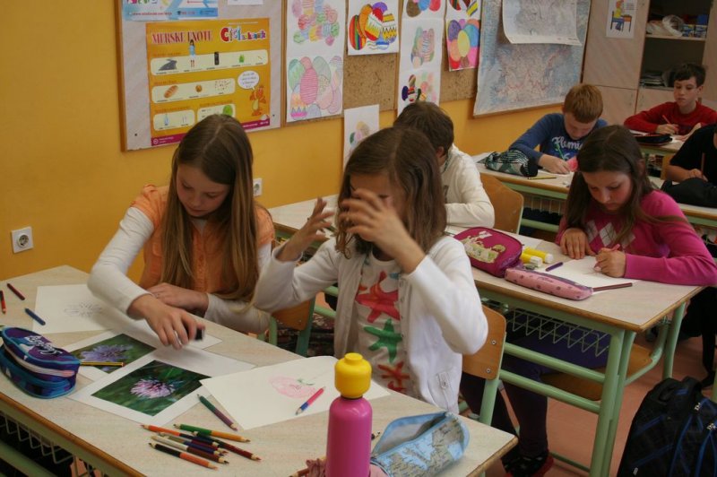 Naravoslovni dan - Zelišča