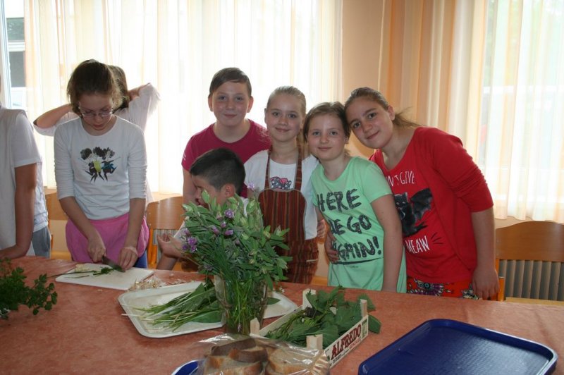 Naravoslovni dan - Zelišča