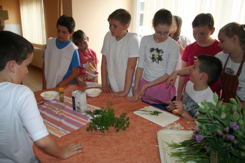 Naravoslovni dan - Zelišča