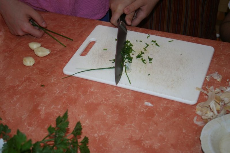 Naravoslovni dan - Zelišča