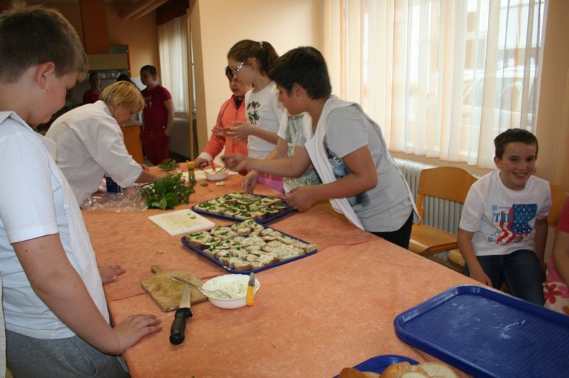 Naravoslovni dan - Zelišča