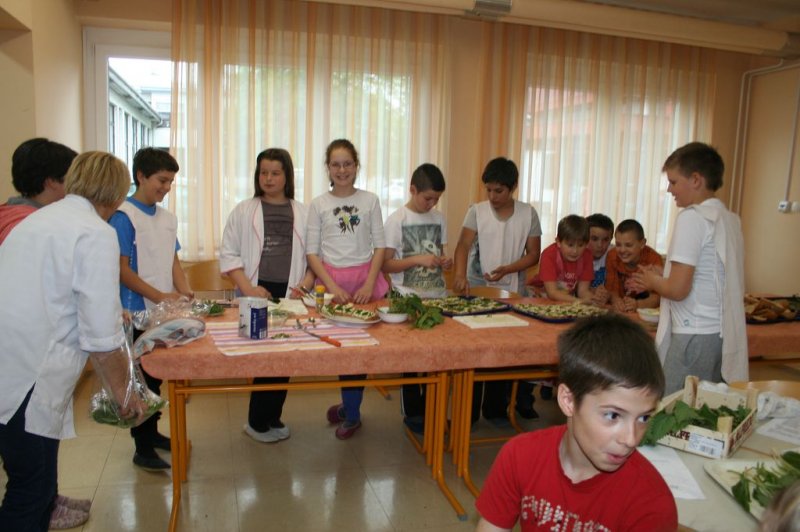 Naravoslovni dan - Zelišča