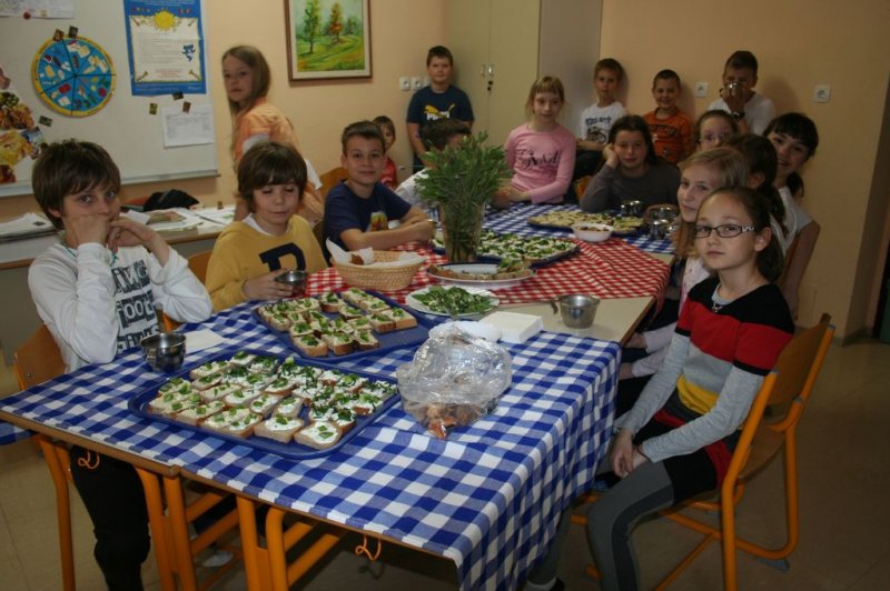 Naravoslovni dan - Zelišča