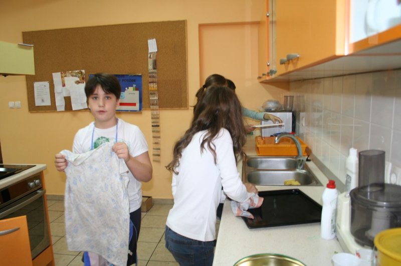 Naravoslovni dan - Zelišča