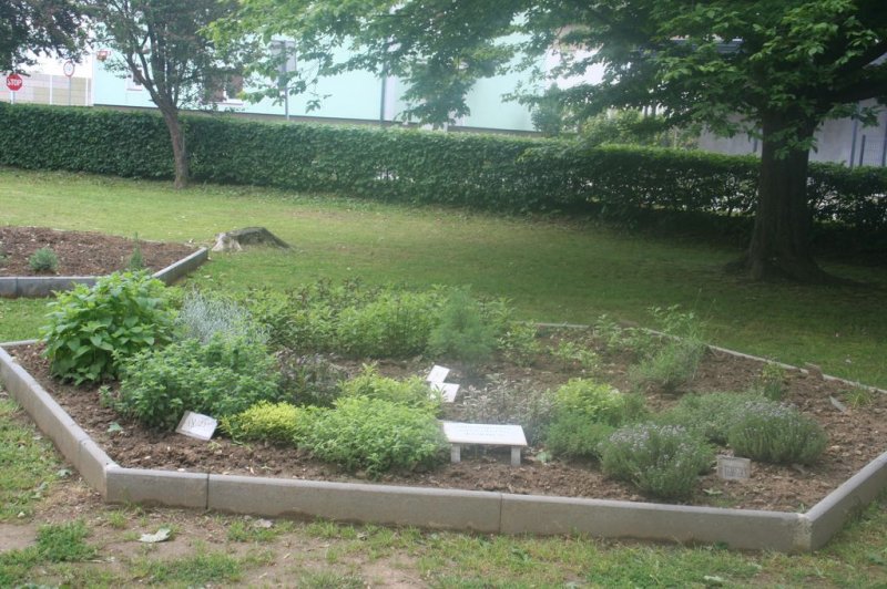 Naravoslovni dan - Zelišča