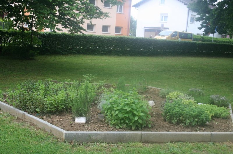 Naravoslovni dan - Zelišča