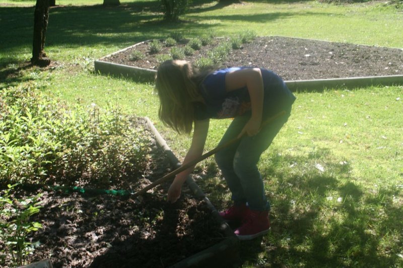 Naravoslovni dan - Zelišča