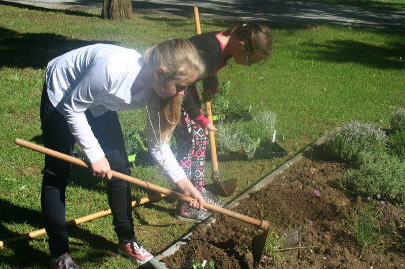 Naravoslovni dan - Zelišča