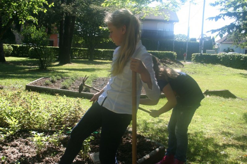 Naravoslovni dan - Zelišča