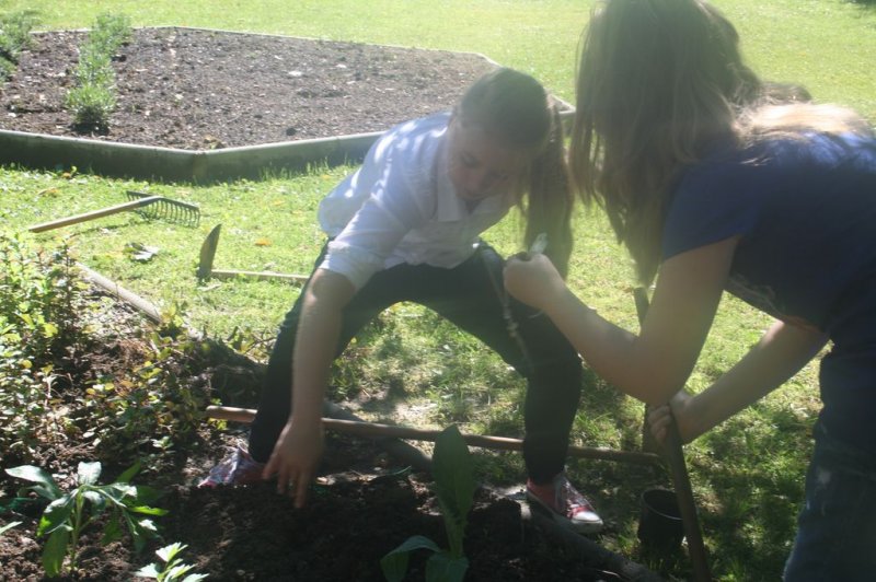 Naravoslovni dan - Zelišča