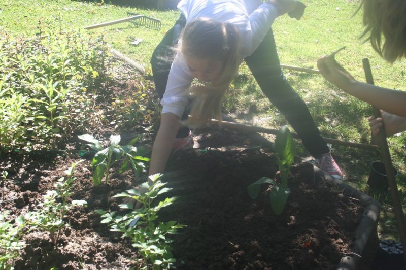 Naravoslovni dan - Zelišča