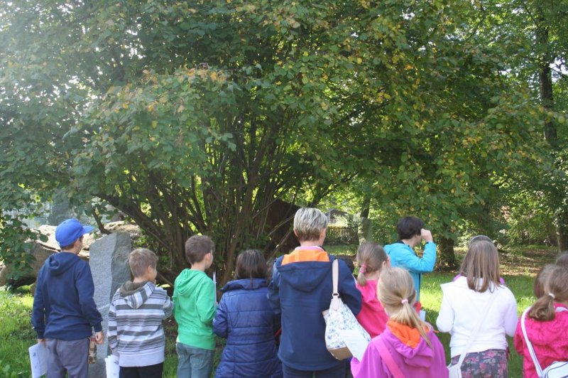 Naravoslovni dan \"Življenska okolja\"