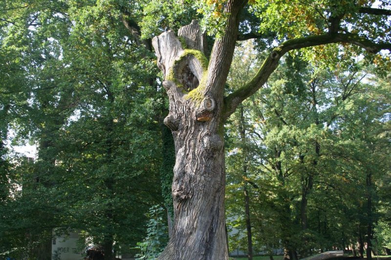Naravoslovni dan \"Življenska okolja\"