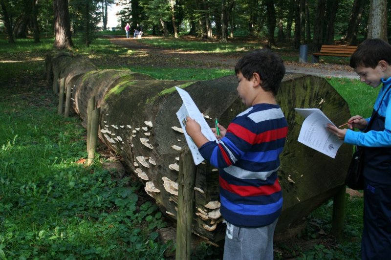 Naravoslovni dan \"Življenska okolja\"