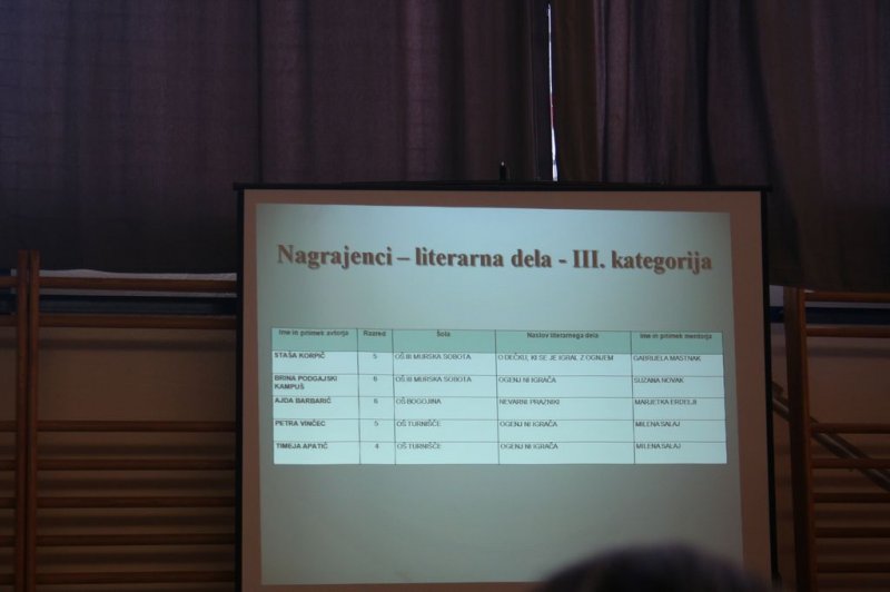 Naravne in druge nesreče - Ogenj ni igrača