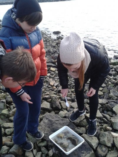 Naravoslovni teden za sedmošolce