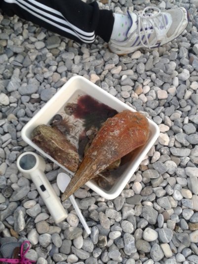 Naravoslovni teden za sedmošolce