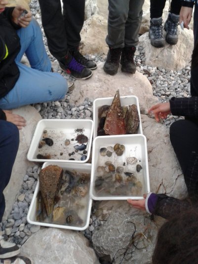 Naravoslovni teden za sedmošolce