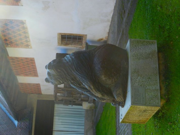 Naravoslovno - tehnični dan v Ljubljani