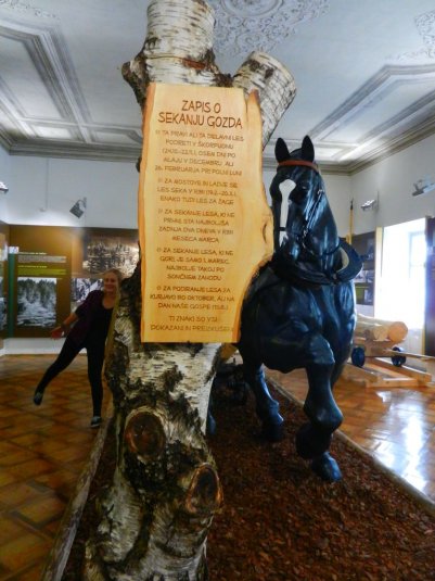 Naravoslovno - tehnični dan v Ljubljani