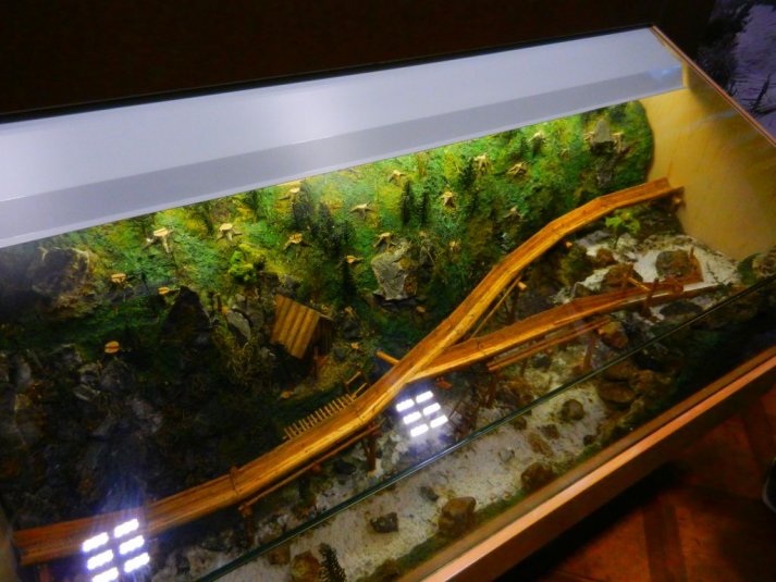 Naravoslovno - tehnični dan v Ljubljani