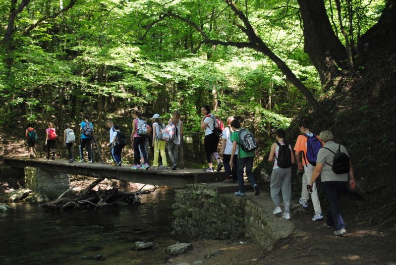 Naravoslovni teden v CŠOD Rakov Škocjan