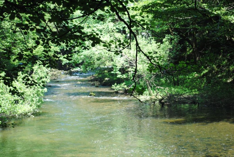 Naravoslovni teden v CŠOD Rakov Škocjan