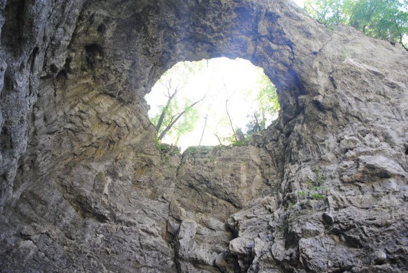 Naravoslovni teden v CŠOD Rakov Škocjan