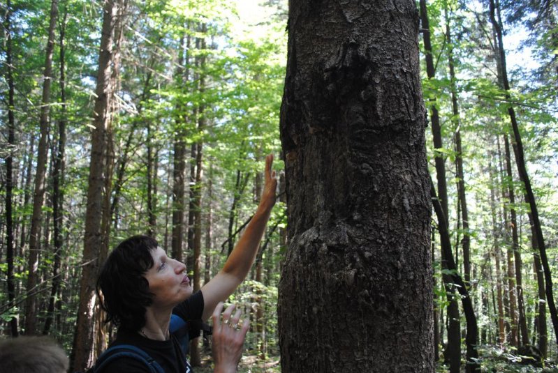 Naravoslovni teden v CŠOD Rakov Škocjan
