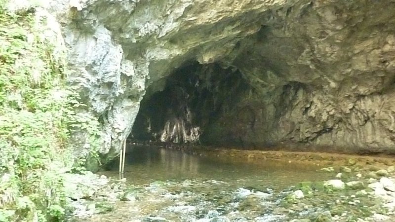 Naravoslovni teden v CŠOD Rakov Škocjan