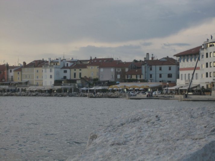 Naravoslovni teden sedmošolcev