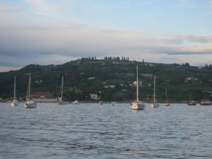 Naravoslovni teden sedmošolcev