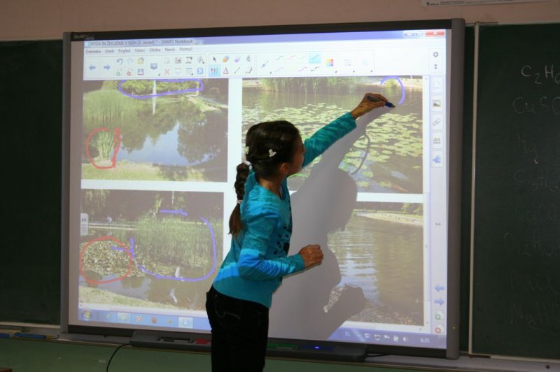 Naravoslovne vsebine v 3.r