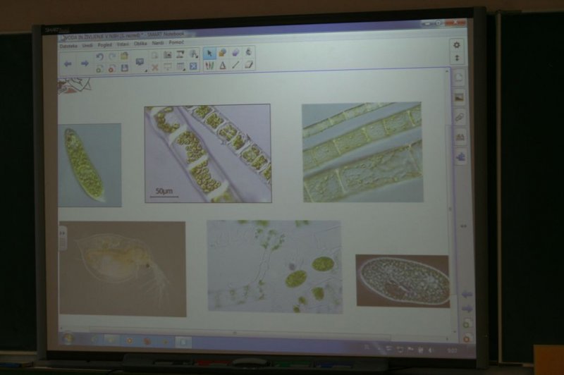 Naravoslovne vsebine v 3.r