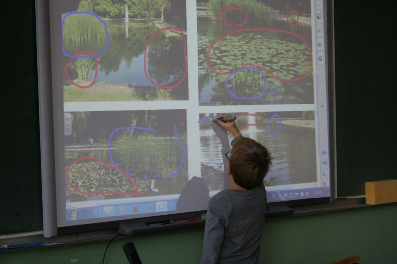 Naravoslovne vsebine v 3.r