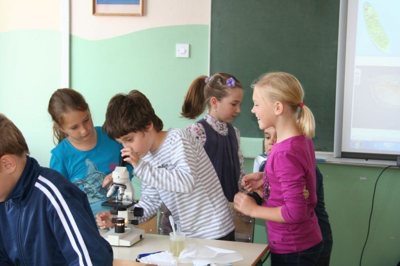 Naravoslovne vsebine v 3.r