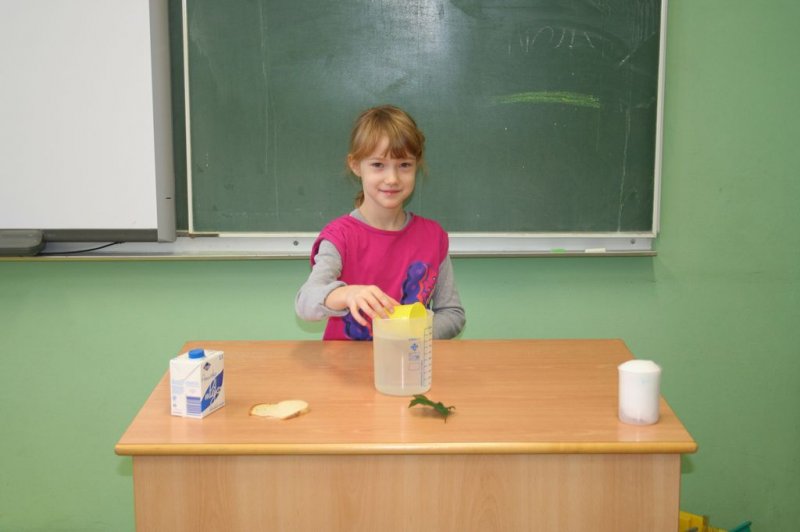 Naravoslovne vsebine v 3.r