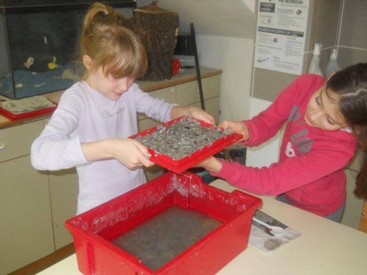 Naravoslovni teden četrtošolcev