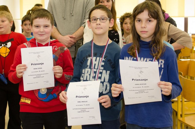 Področno šahovsko prvenstvo