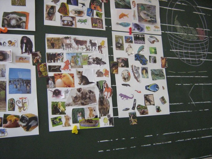 Projekt \"Veliki nemarni škornji\"