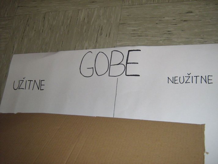 Projekt \"Veliki nemarni škornji\"