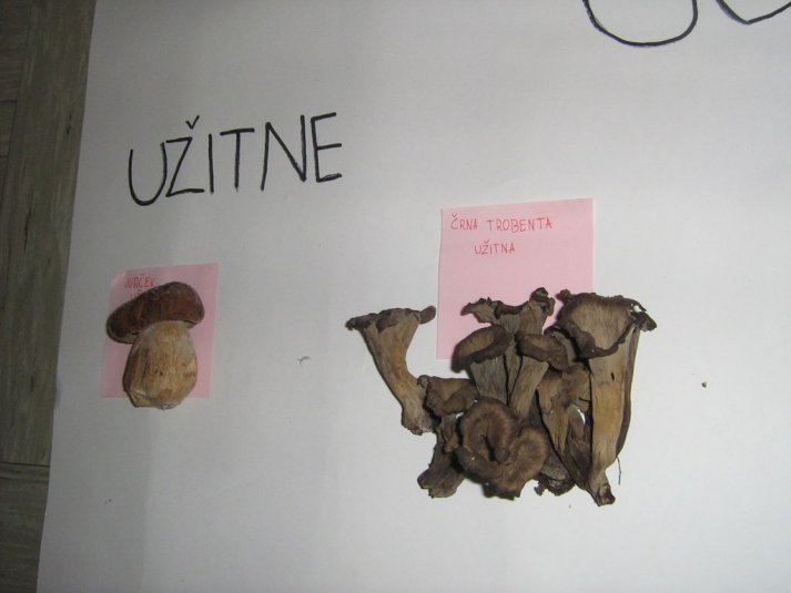 Projekt \"Veliki nemarni škornji\"