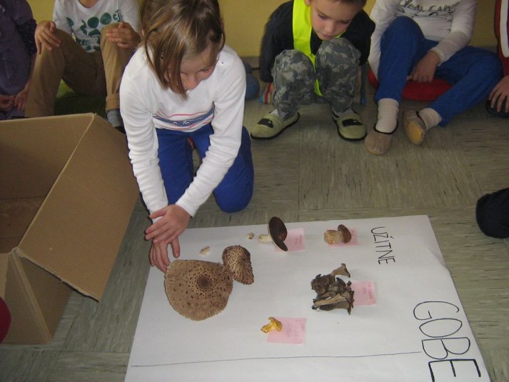 Projekt \"Veliki nemarni škornji\"