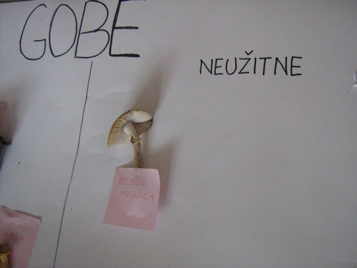 Projekt \"Veliki nemarni škornji\"