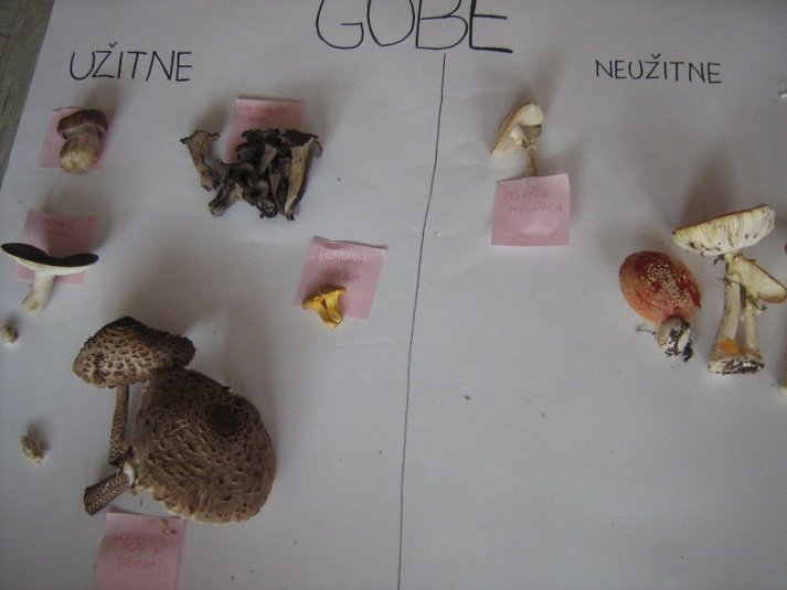 Projekt \"Veliki nemarni škornji\"