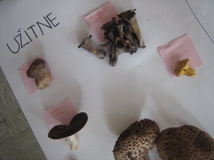 Projekt \"Veliki nemarni škornji\"