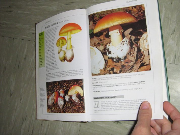 Projekt \"Veliki nemarni škornji\"