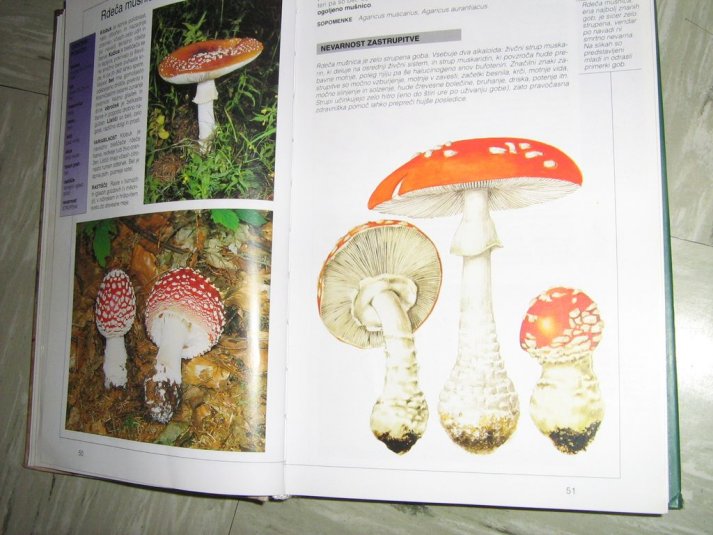 Projekt \"Veliki nemarni škornji\"