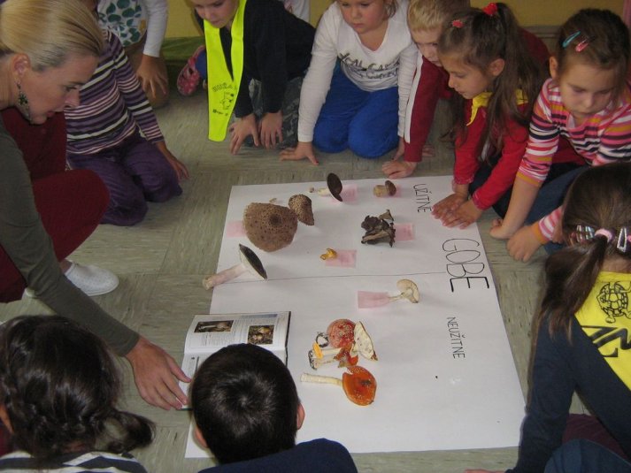 Projekt \"Veliki nemarni škornji\"