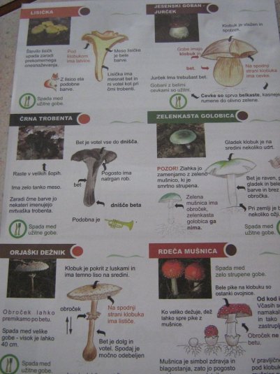 Projekt \"Veliki nemarni škornji\"